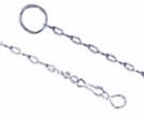 08-linhaanimais-correntepapagaio